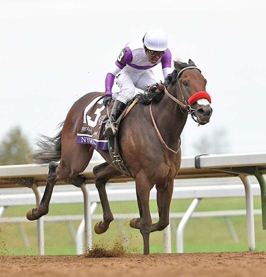 Nyquist a Kentucky Derby Favorite