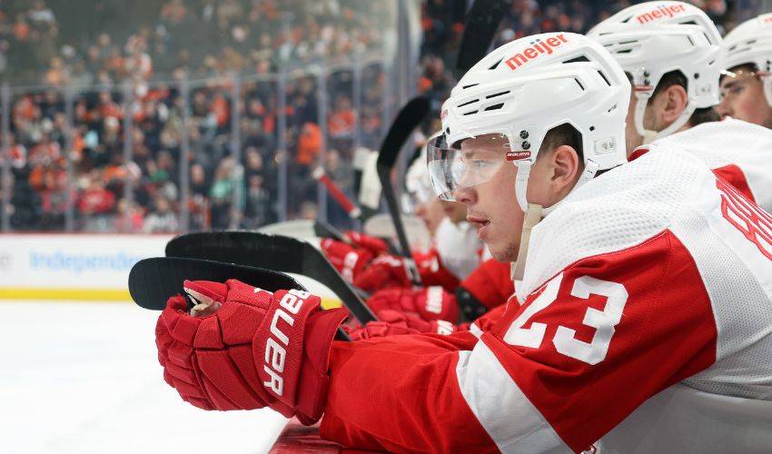 Red Wings' Vrana enters NHL/NHLPA player assistance program