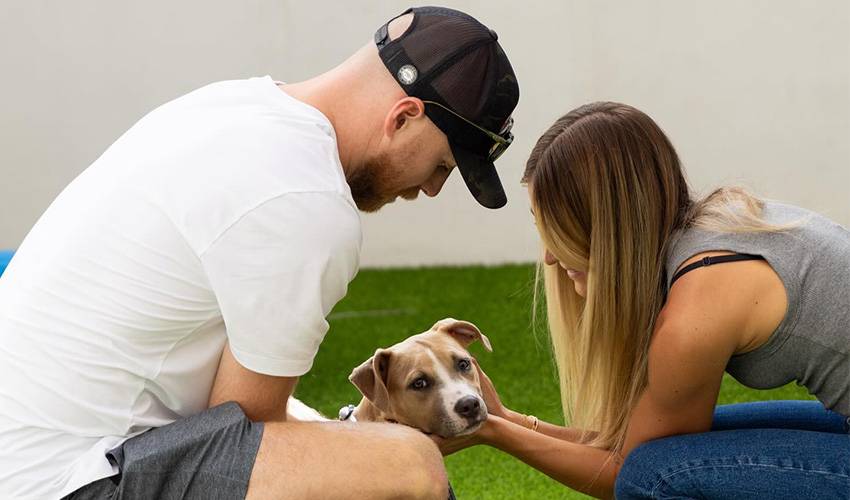 Bennett helping to set up fur-ever homes for every goal scored