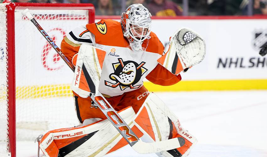Ducks goalie Lukas Dostal signs five-year contract, avoids arbitration