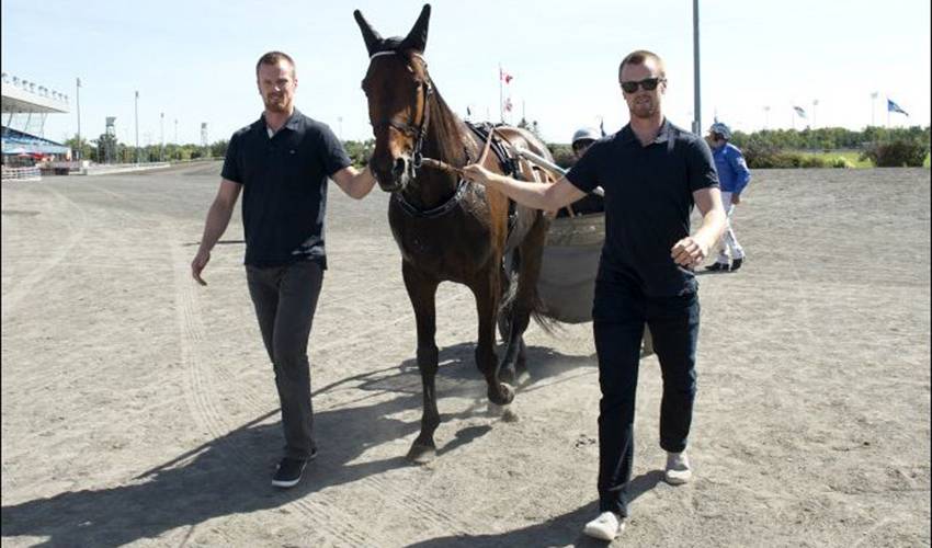 Sedin twins look to net hockey and horse racing gold