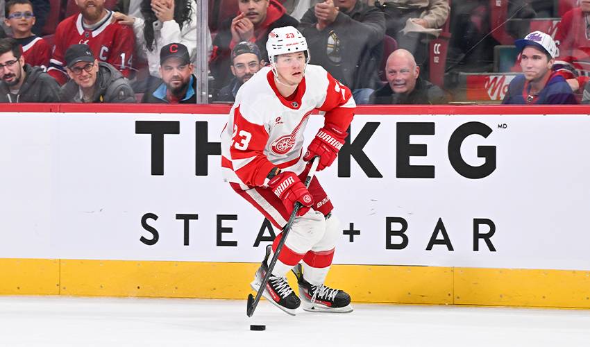 Detroit Red Wings sign Lucas Raymond to an 8-year, $64.6 million contract